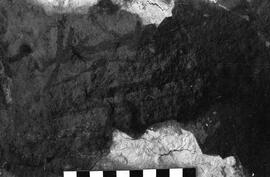 NMSA 03 2125P