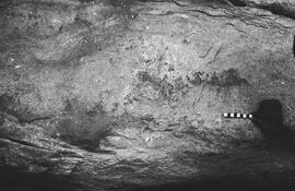NMSA 03 172P