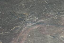 NMSA RSA GEO1 24D