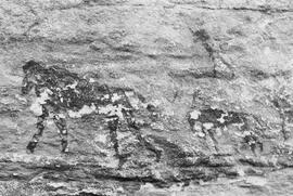 NMSA 03 7802P