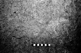 NMSA 03 3208P