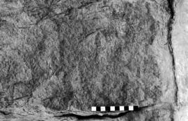 NMSA 03 8767P