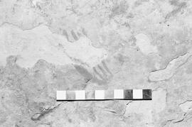 NMSA 03 1979P