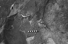 NMSA 03 2510P