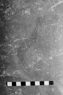 NMSA 03 5334P
