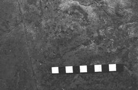 NMSA 03 2813P