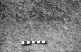 NMSA 03 1743P