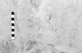 NMSA 03 1931P