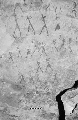 NMSA 03 5367P