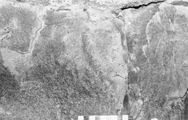 NMSA 03 1293P