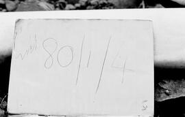 NMSA 03 4122P