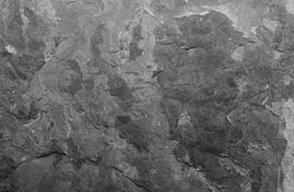 NMSA 03 8395P