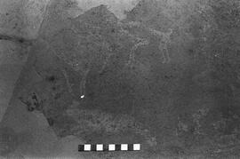 NMSA 03 1545P