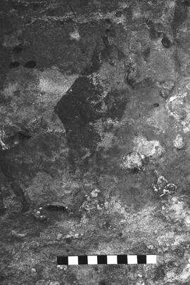 NMSA 03 6096P