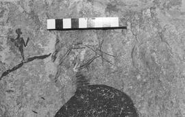 NMSA 03 1433P