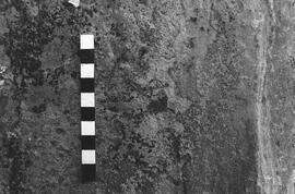 NMSA 03 2297P