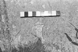 NMSA 03 1427P