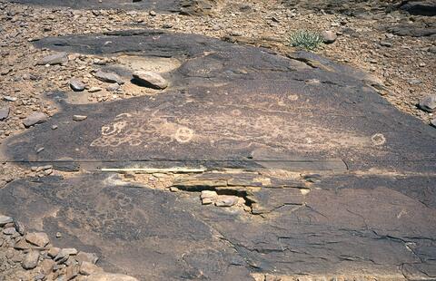 Open original Digital object