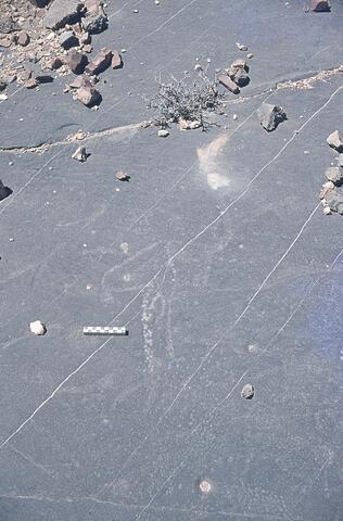 Open original Digitaal object