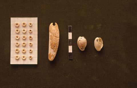 Open original Digital object