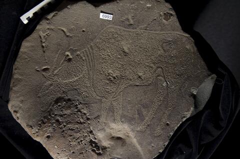 Open original Digital object