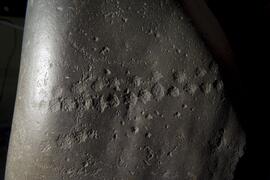 NMCH 7015 29D