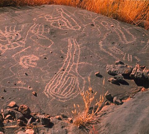 Open original Digital object