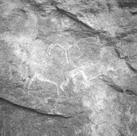 NMSA PCA 01 439H