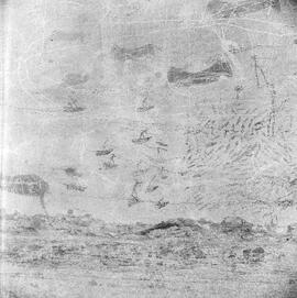 NMSA-PCA 01 339H