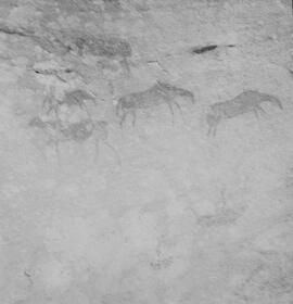 NMSA PCA 01 112H