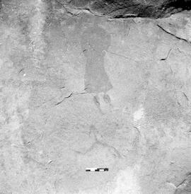 NMSA PCA 02 55H