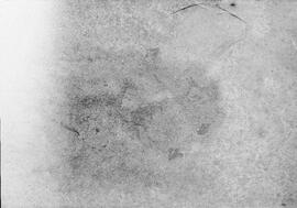 NMSA PCA 01 446P