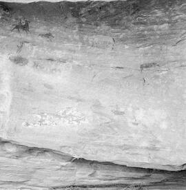 NMSA PCA 01 83H