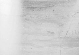 NMSA PCA 01 444P