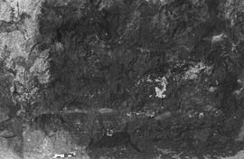 NMSA PCA 01 173P