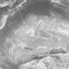 NMSA PCA 01 281H
