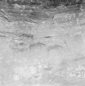 NMSA PCA 01 93H