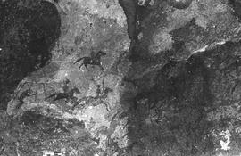 NMSA PCA 01 172P