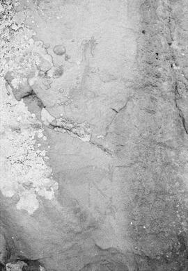 NMSA PCA 01 442P