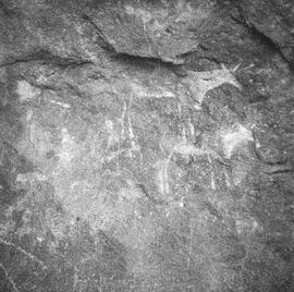 NMSA PCA 01 440H
