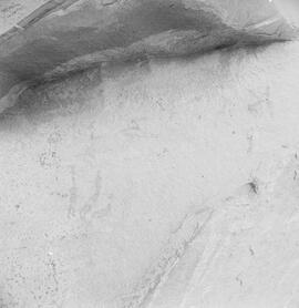 NMSA PCA 01 98H
