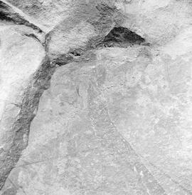 NMSA PCA 02 98H