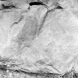 NMSA PCA 02 97H
