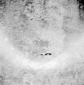 NMSA PCA 02 113H