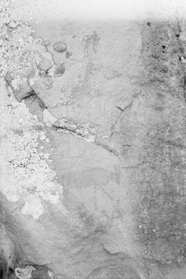 NMSA PCA 01 441P