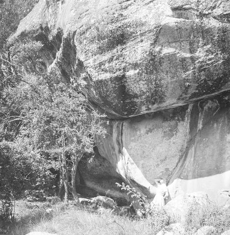 Open original Digital object