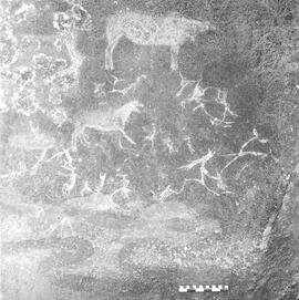 NMSA PCA 01 413H
