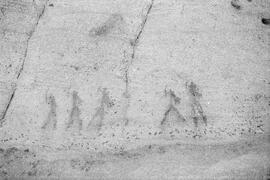 NMSA PCA 01 447P