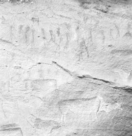NMSA PCA 01 296H