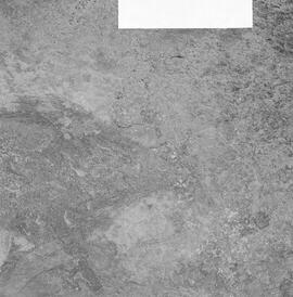 NMSA PCA 01 453H